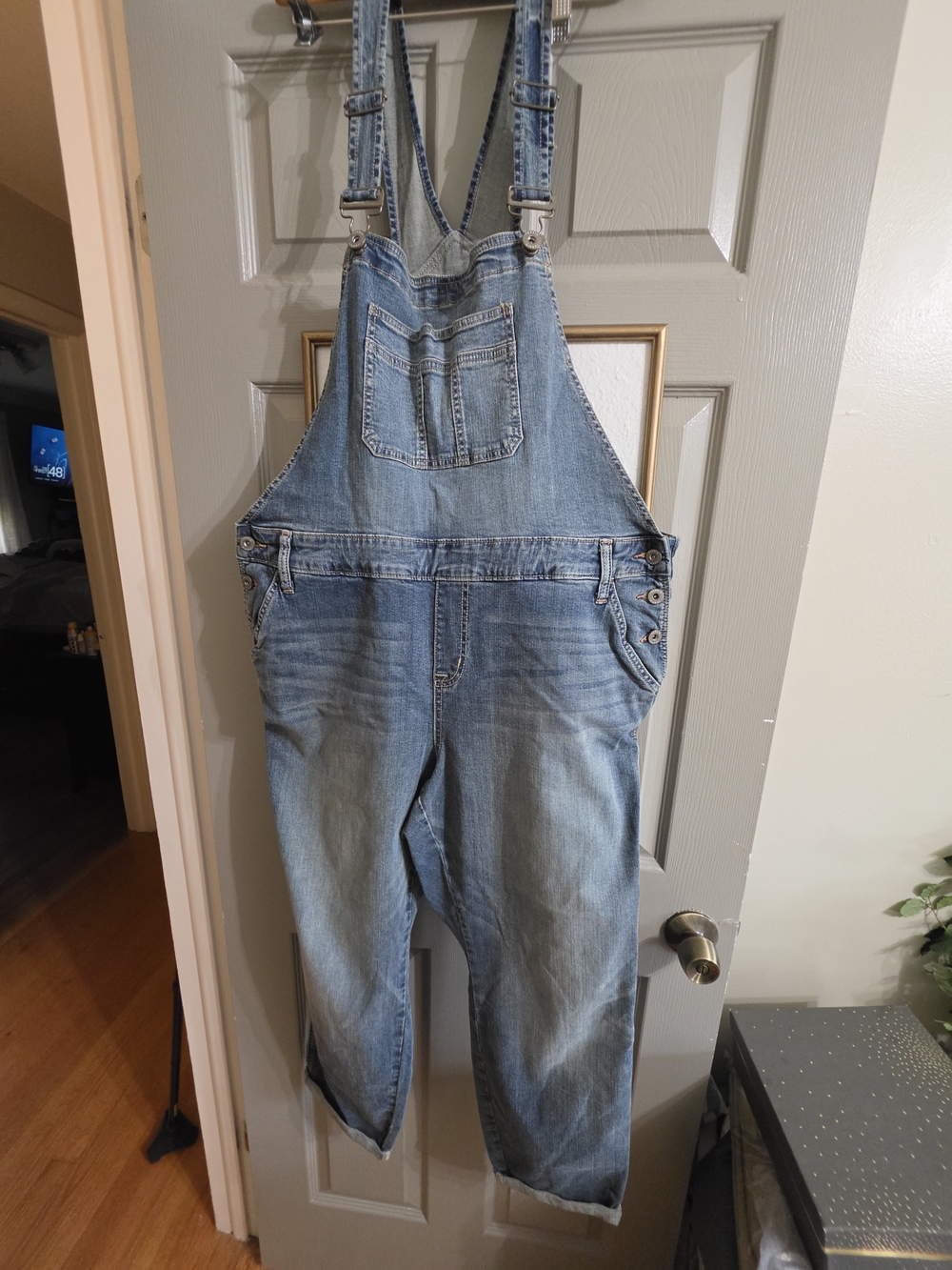 Torrid Light Blue Denim Overalls Jumpsuit